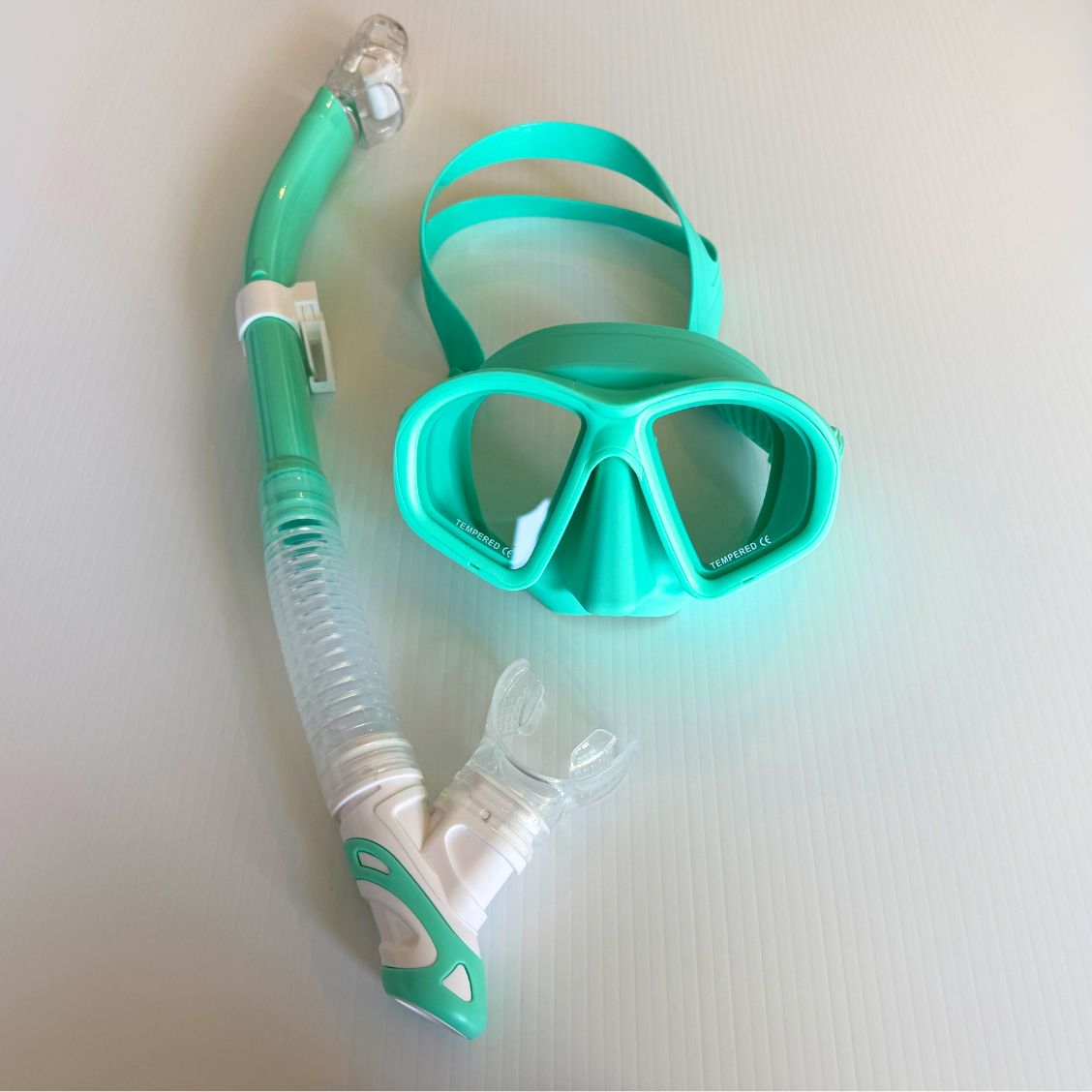 Double Lens Soft Silicone Mask + Dry Snorkel