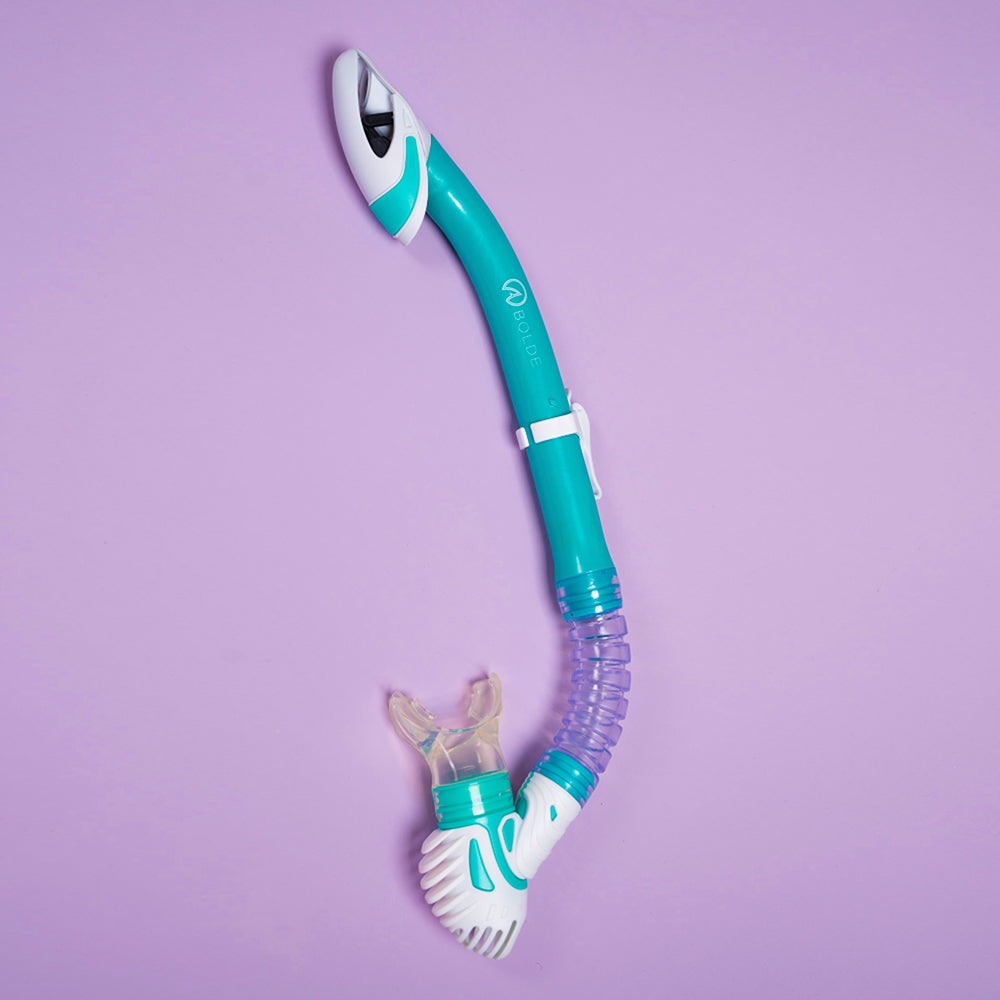 Oval Mask & Dry Snorkel Set