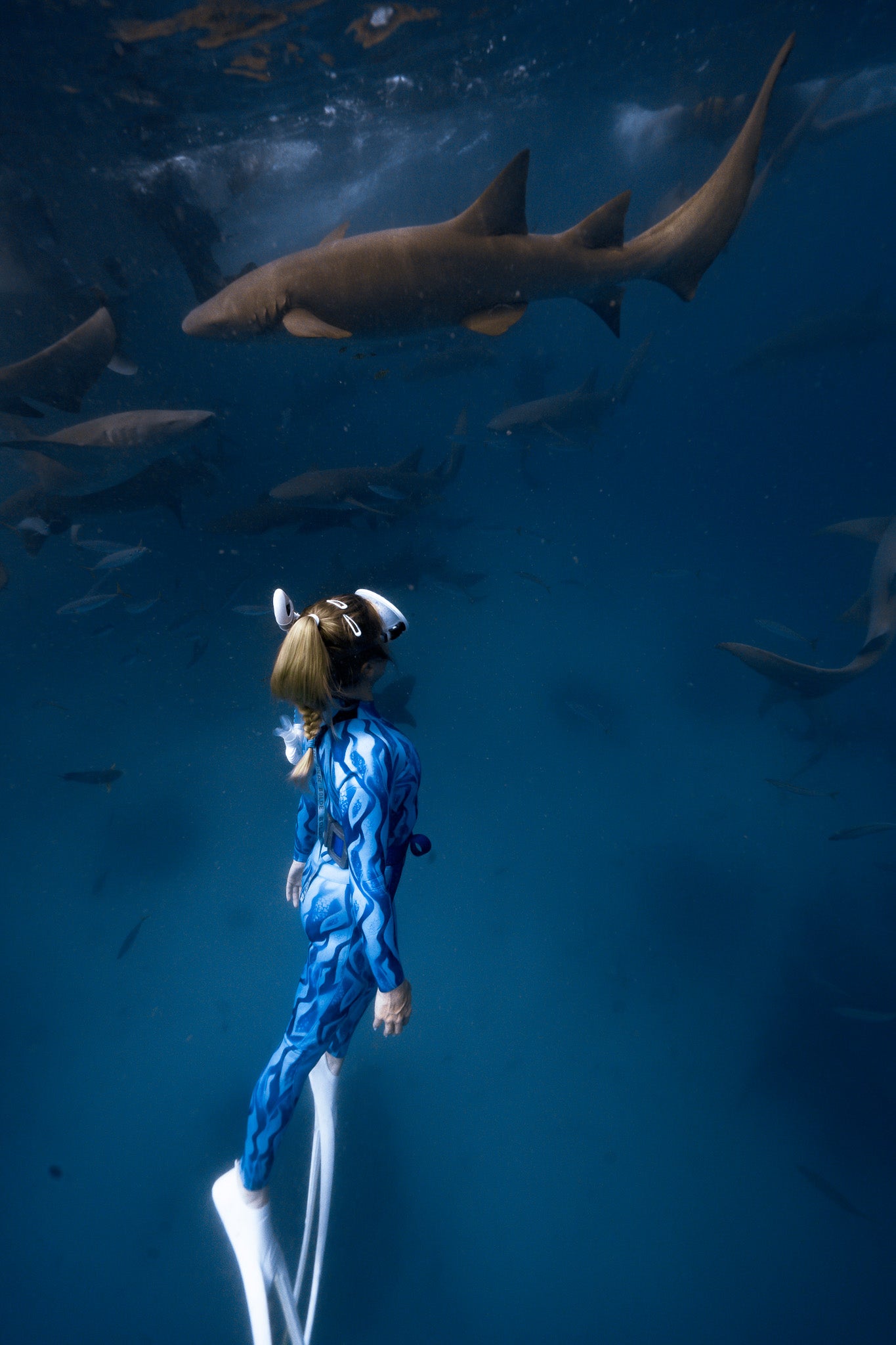 Shark deterrents and BOLDE wetsuits